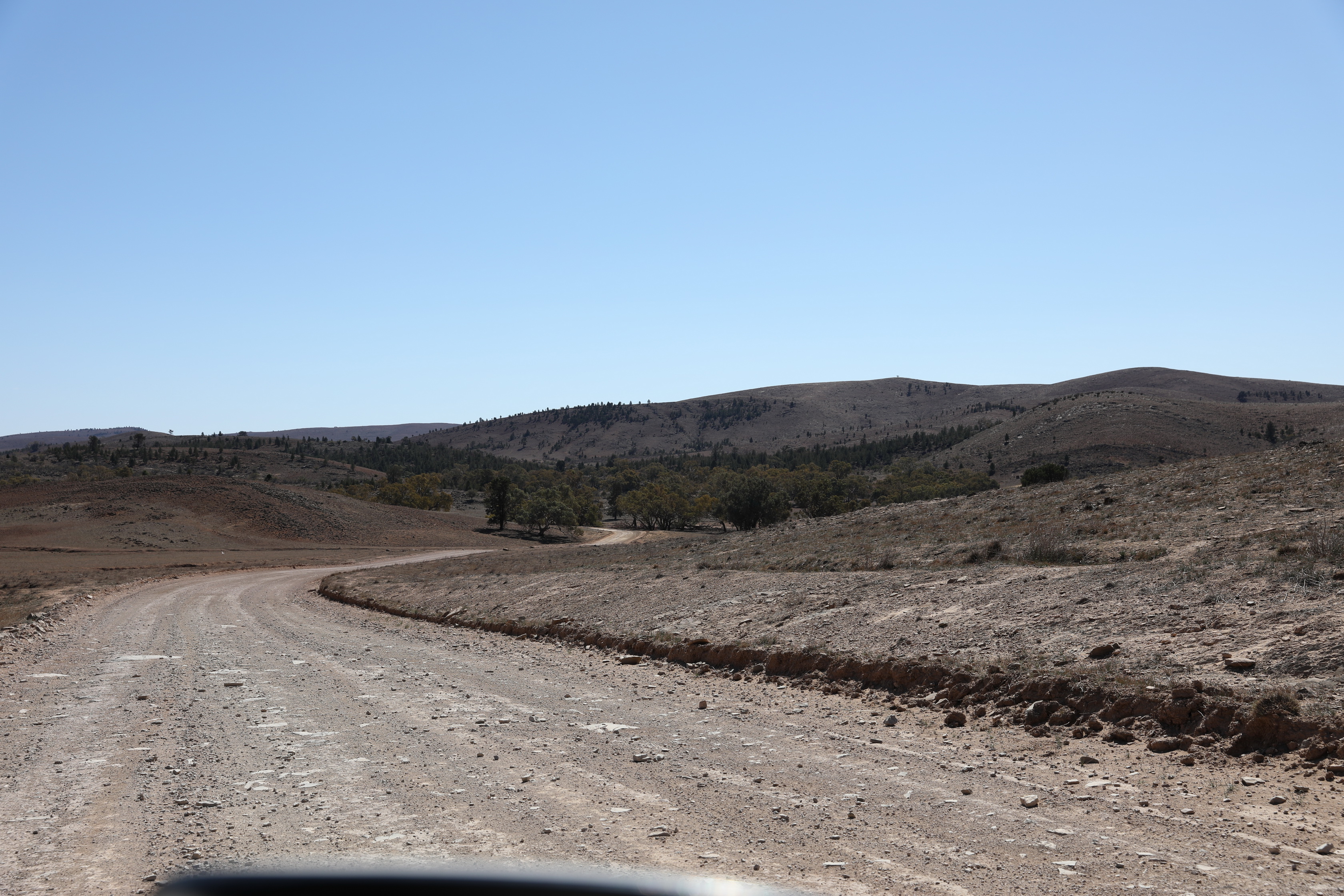 2019 09 01 10 31 32 Canon EOS 5D Mark IV 0004